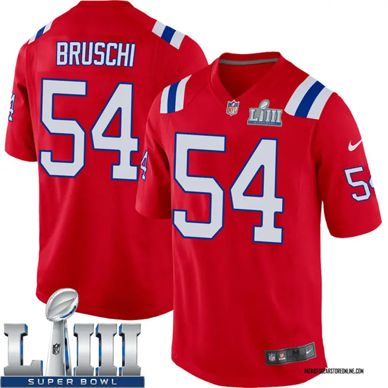 tedy bruschi jersey