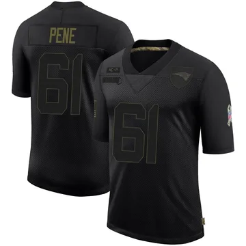 Youth New England Patriots Wilfried Pene Black Limited 2020 Salute To Service Jersey By Nike