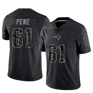 Youth New England Patriots Wilfried Pene Black Limited Reflective Jersey By Nike
