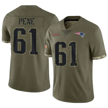 Youth New England Patriots Wilfried Pene Olive Limited 2022 Salute To Service Jersey By Nike